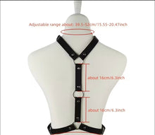 Load image into Gallery viewer, Boudoir Choker Collar and Waist Cincher
