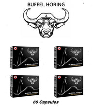 Load image into Gallery viewer, Buffel-Horing (4 Boxes) - 60 Capsules
